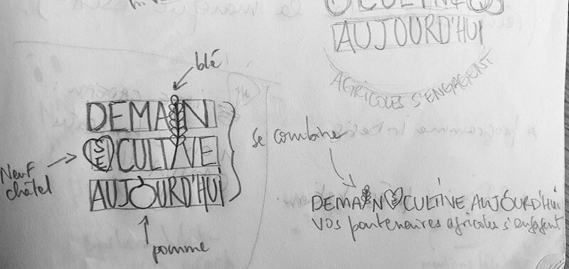 Esquisses et recherches pour le logo du village événementiel “Demain se cultive aujourd’hui” avec éléments agricoles, dessinées par Gaële Gerbaux du studio nueva vista, pour la création d’un univers graphique événementiel destiné aux Chambres d’Agriculture de Normandie.